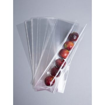 Пакет прозрачный 8*25