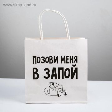 Пакет подарочный, упаковка, «Позови меня», 22×22×11 см