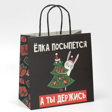 Пакет подарочный новогодний «А ты держись», 22 х 22 х 11 см