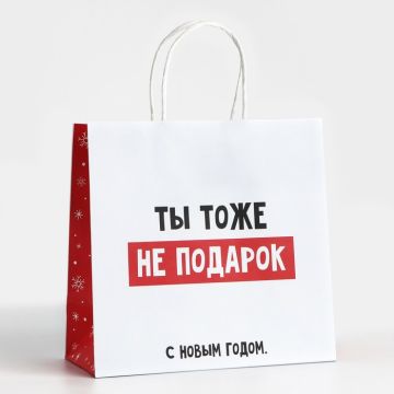 Пакет подарочный новогодний «Ты тоже не подарок», 22×22×11 см