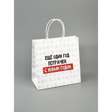 Пакет подарочный новогодний «Ещё один год», 22×22×11 см