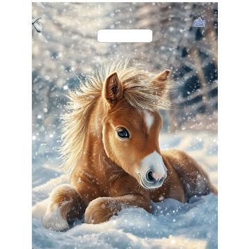 Пакет НГ 31*40+5=60мк «Ветерок»