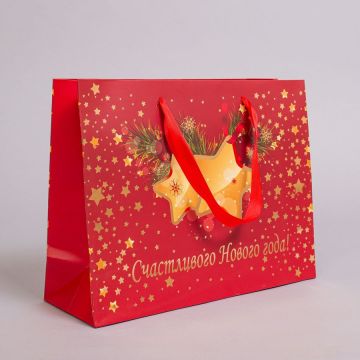 Пакет подарочный 30х23х10 см лам.матовый НГ фольга