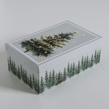 Коробка 22*14*8,5 «Всё сбудется»