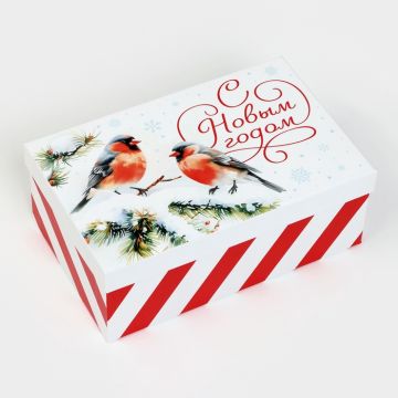 Коробка 21,5*13,5*8 «Чудес»